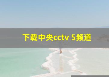 下载中央cctv 5频道